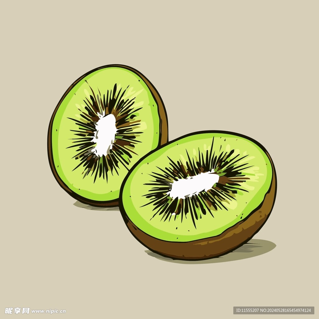 猕猴桃水果手绘矢量插画