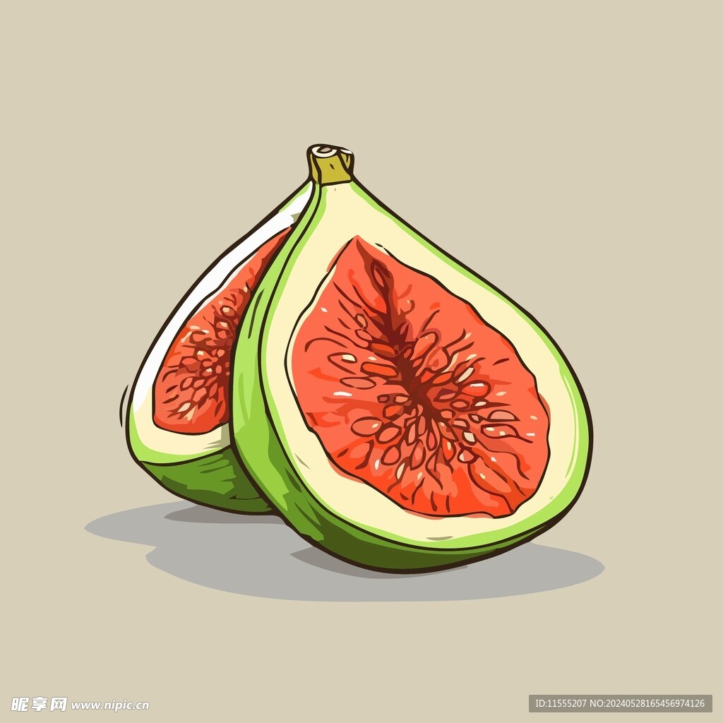 无花果热带水果手绘矢量插画