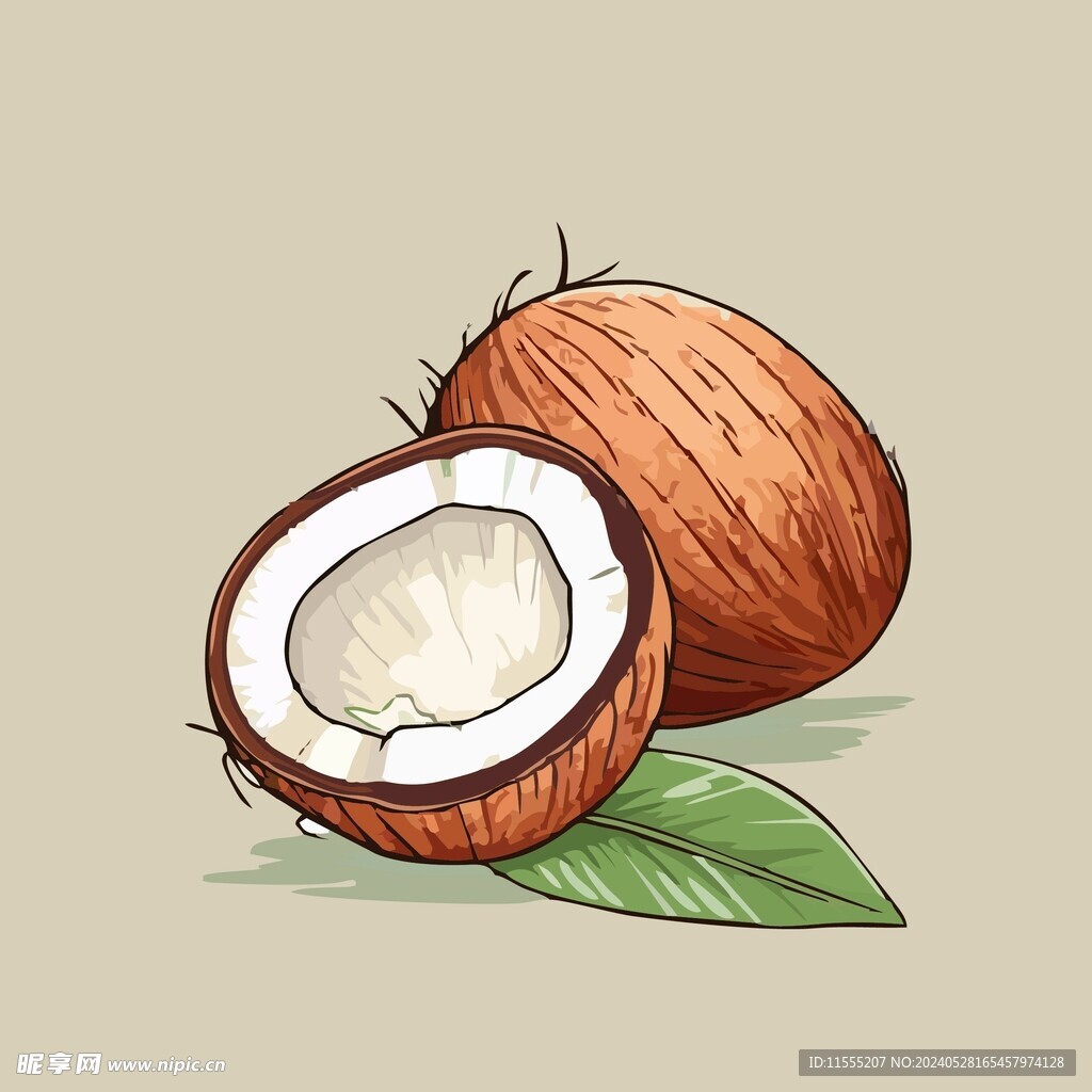 椰子热带水果手绘矢量插画