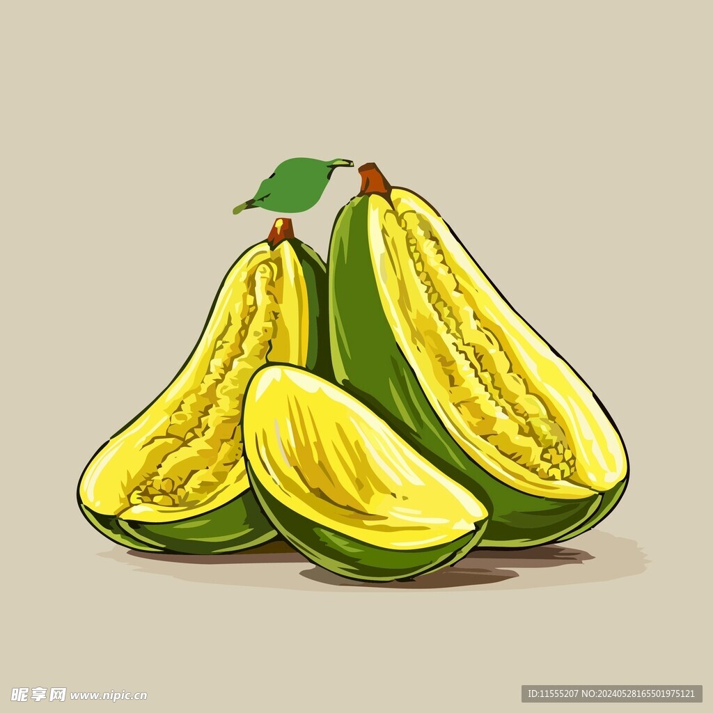 菠萝蜜热带水果手绘矢量插画