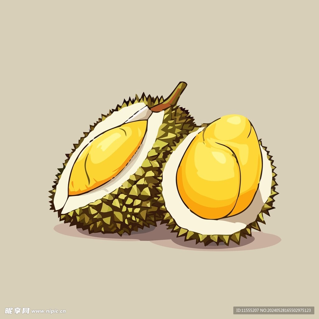 榴莲热带水果手绘矢量插画