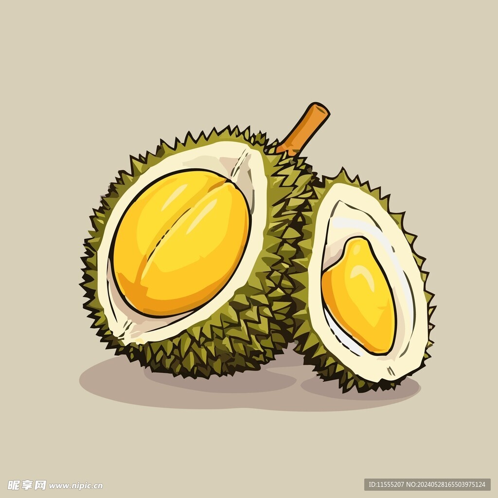 榴莲热带水果手绘矢量插画
