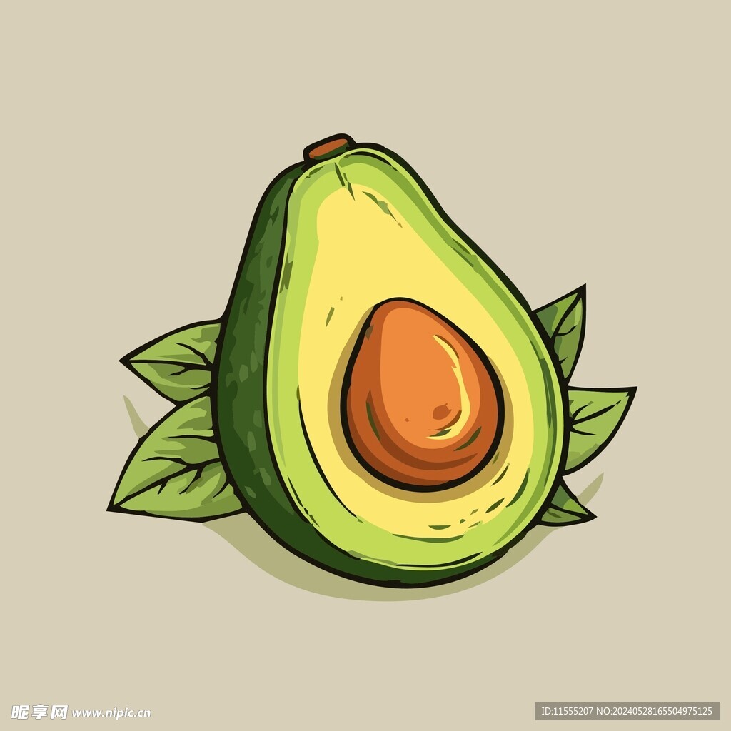牛油果热带水果手绘矢量插画