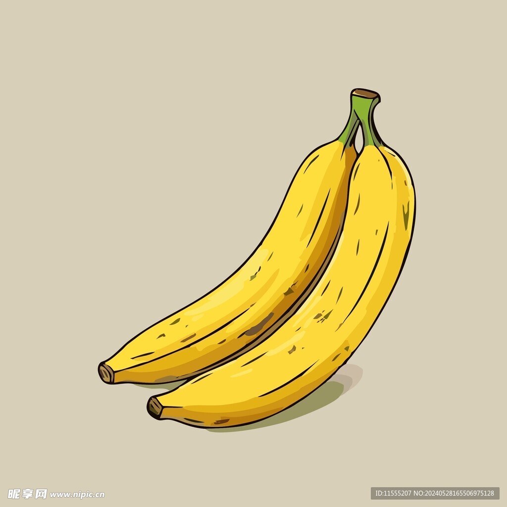 香蕉热带水果手绘矢量插画
