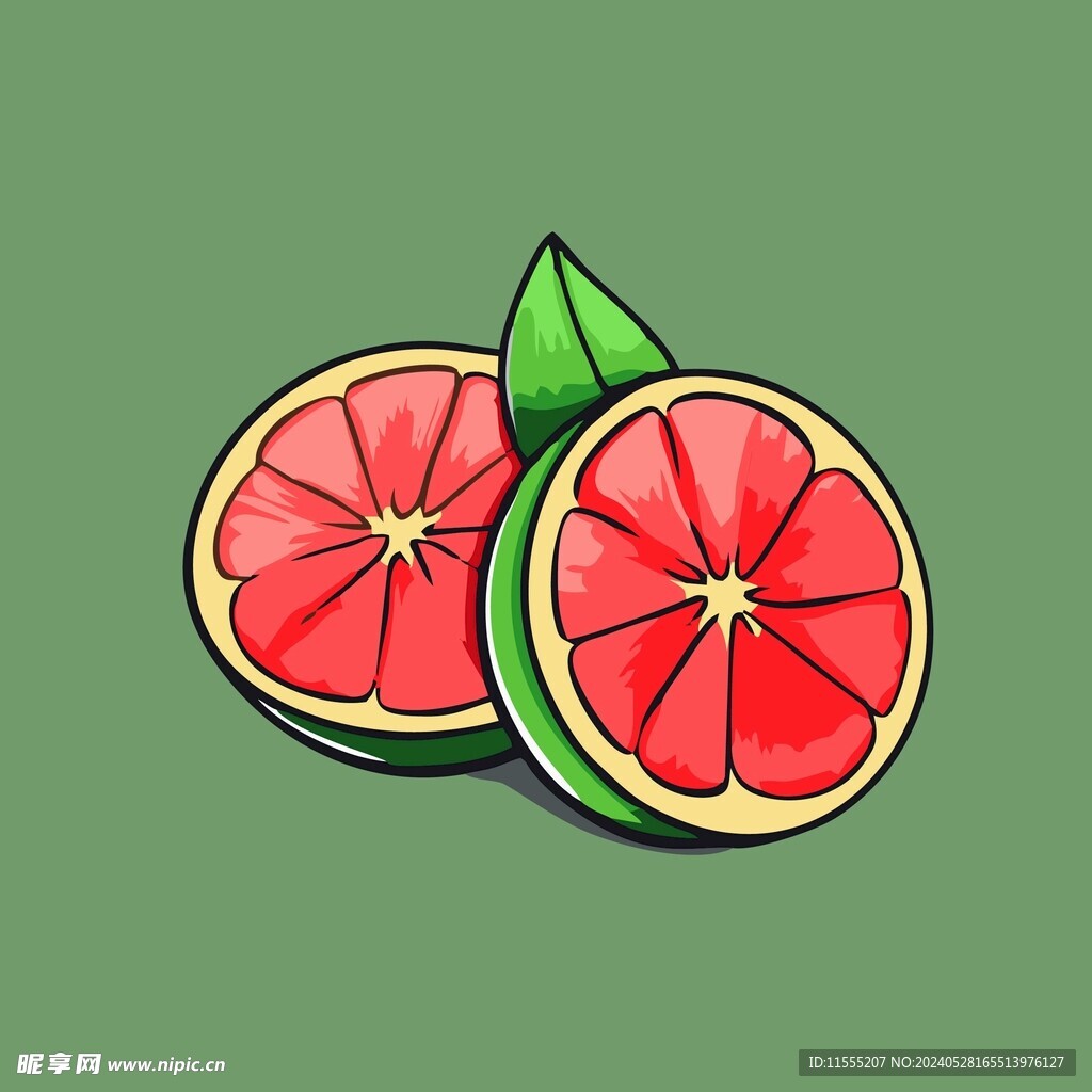 血橙水果手绘矢量插画