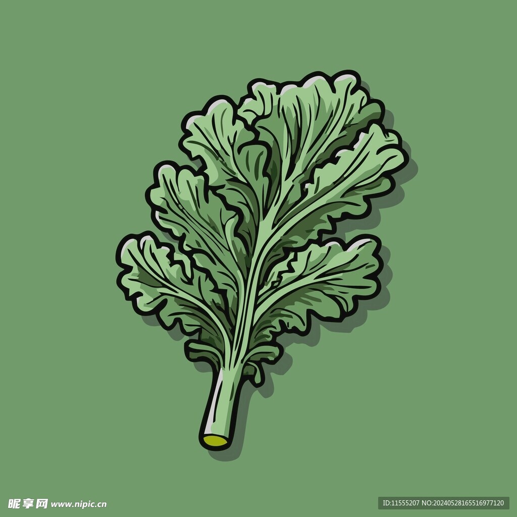 茼蒿蔬菜手绘矢量插画