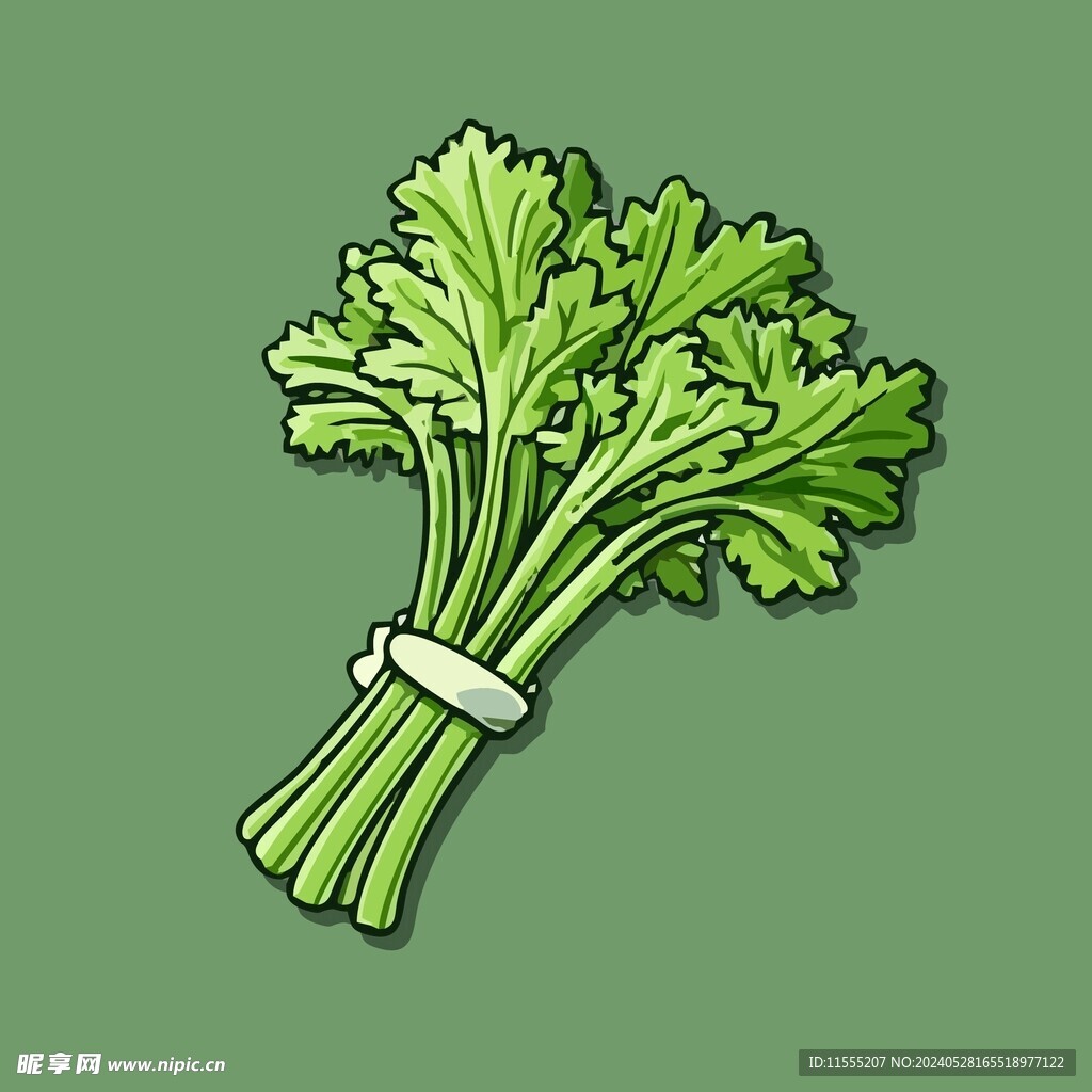 茼蒿瓜蔬菜手绘矢量插画