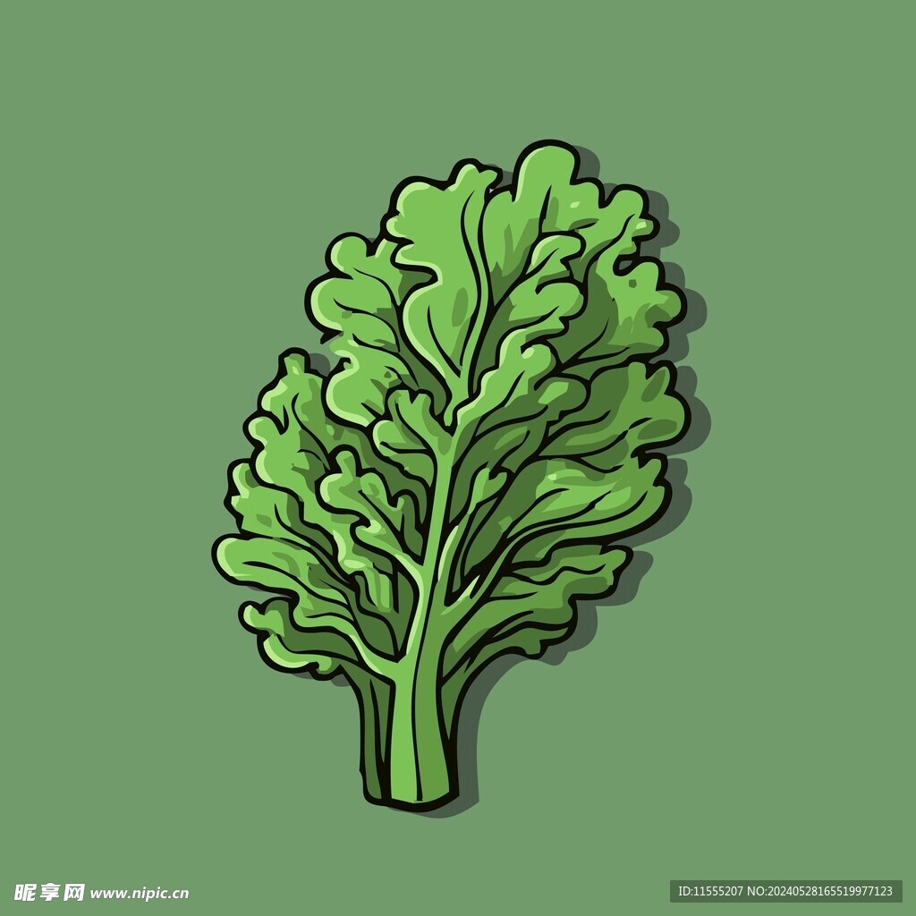 茼蒿蔬菜手绘矢量插画