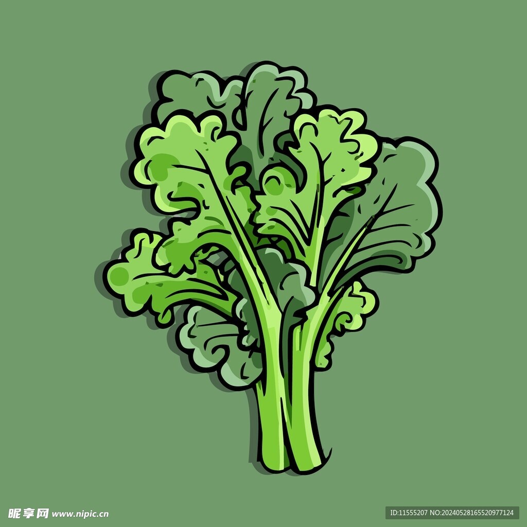 茼蒿蔬菜手绘矢量插画