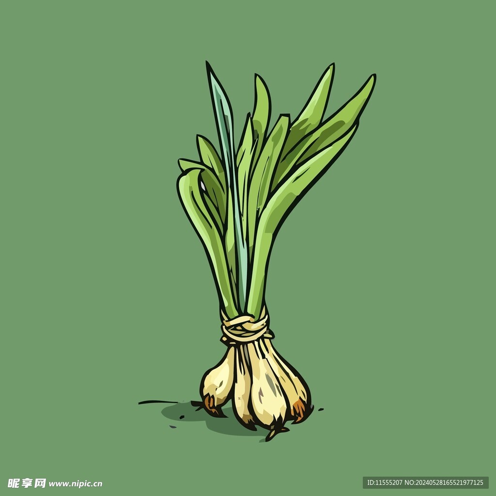 小葱蔬菜手绘矢量插画
