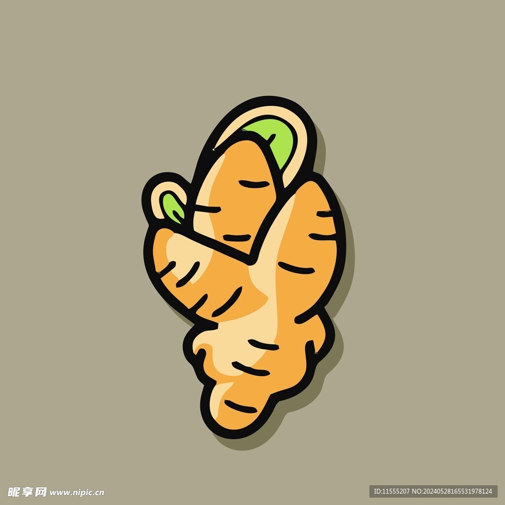 生姜禄根蔬菜手绘矢量插画