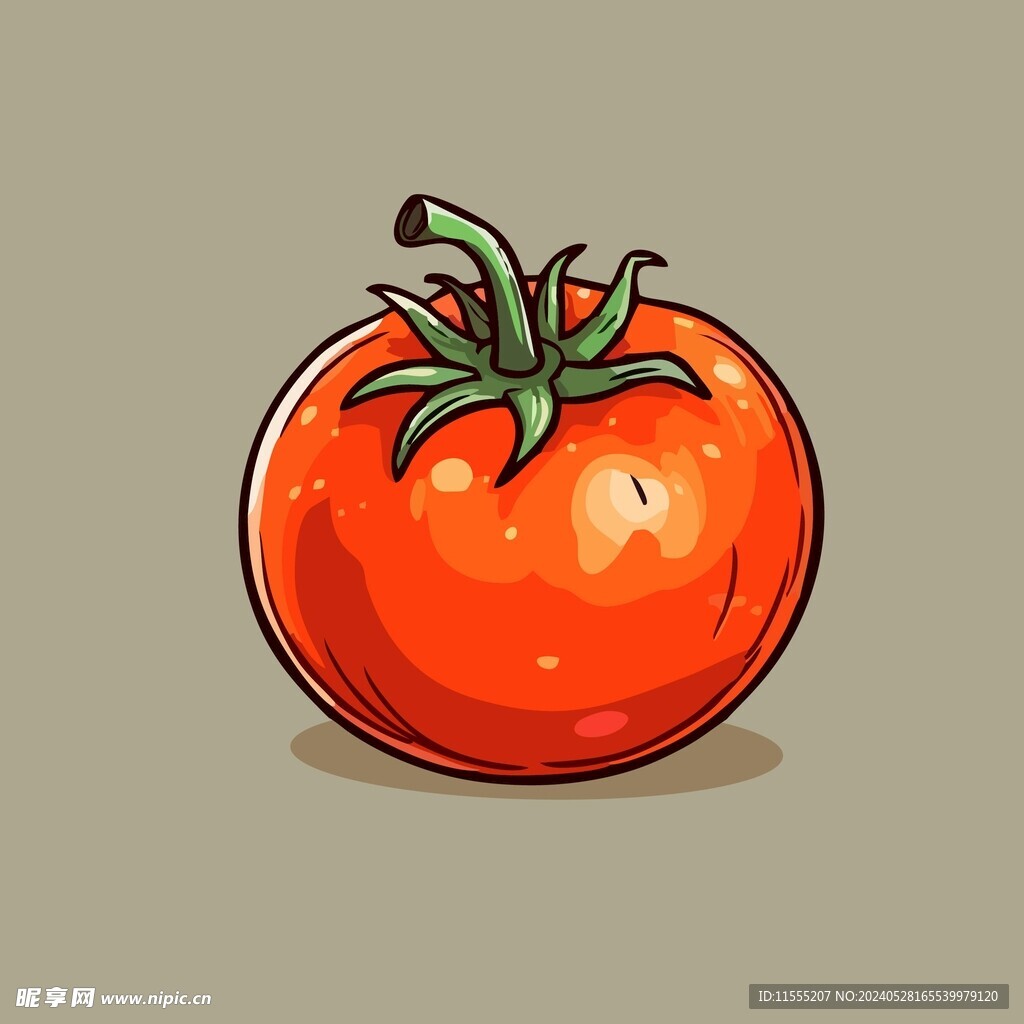 番茄蔬菜手绘矢量插画