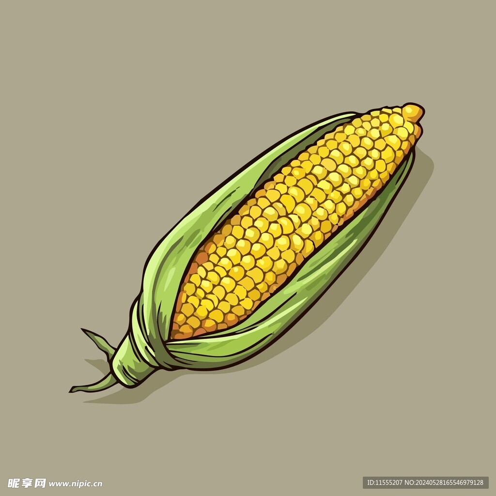 美味玉米蔬菜手绘矢量插画