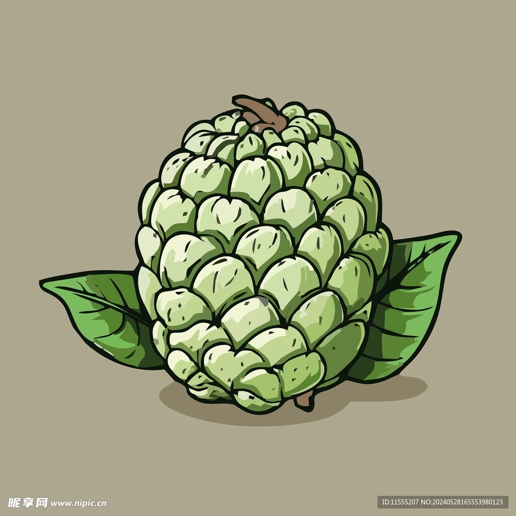 美味释迦果蔬菜手绘矢量插画