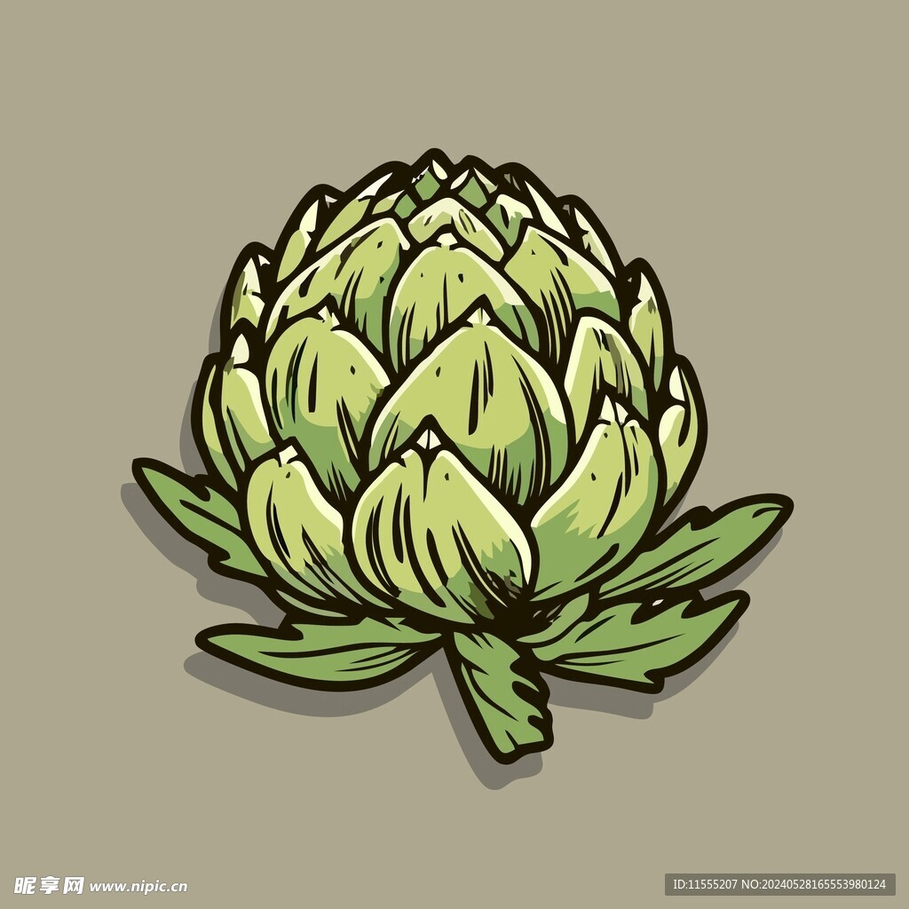美味洋蓟蔬菜手绘矢量插画