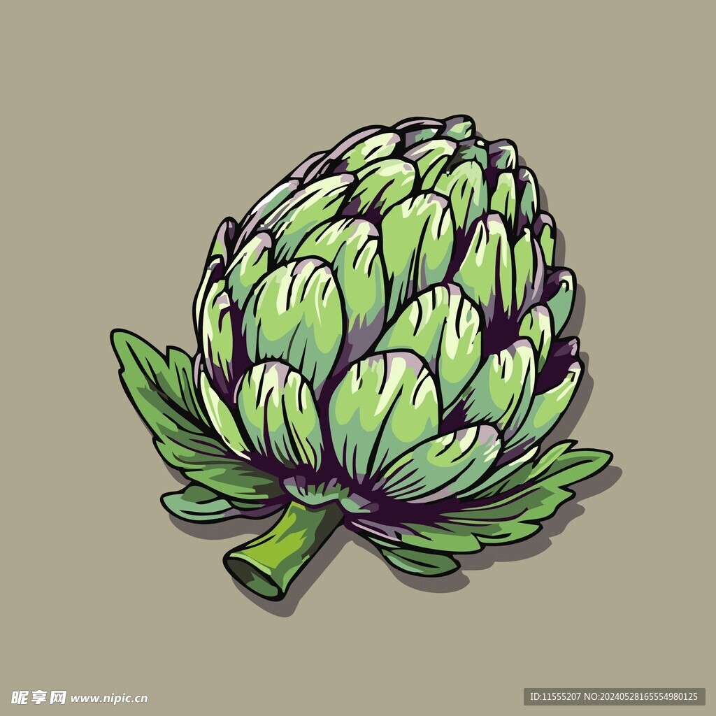 美味洋蓟蔬菜手绘矢量插画