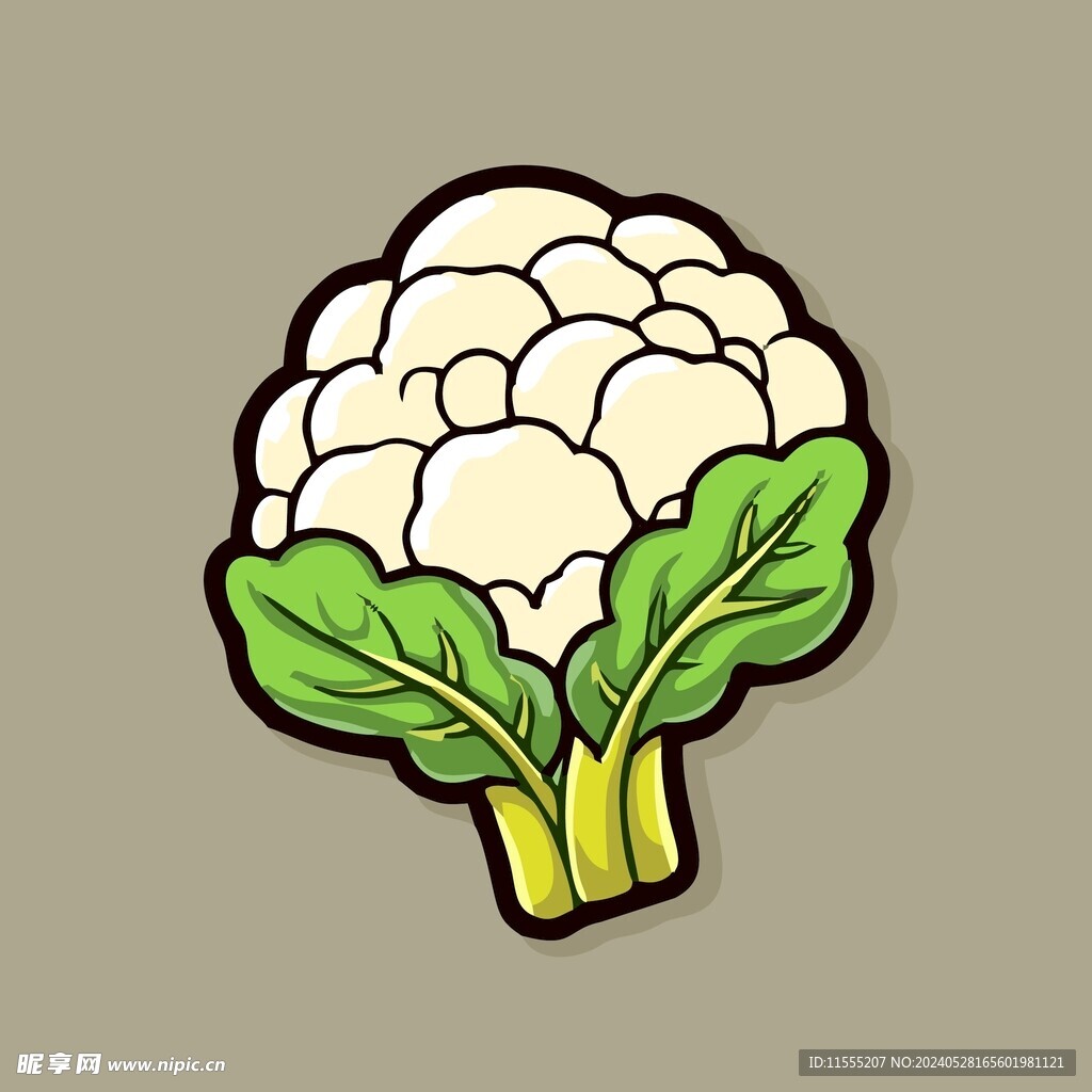 美味花菜蔬菜手绘矢量插画