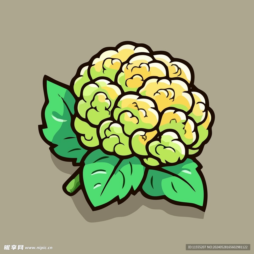 美味花菜蔬菜手绘矢量插画