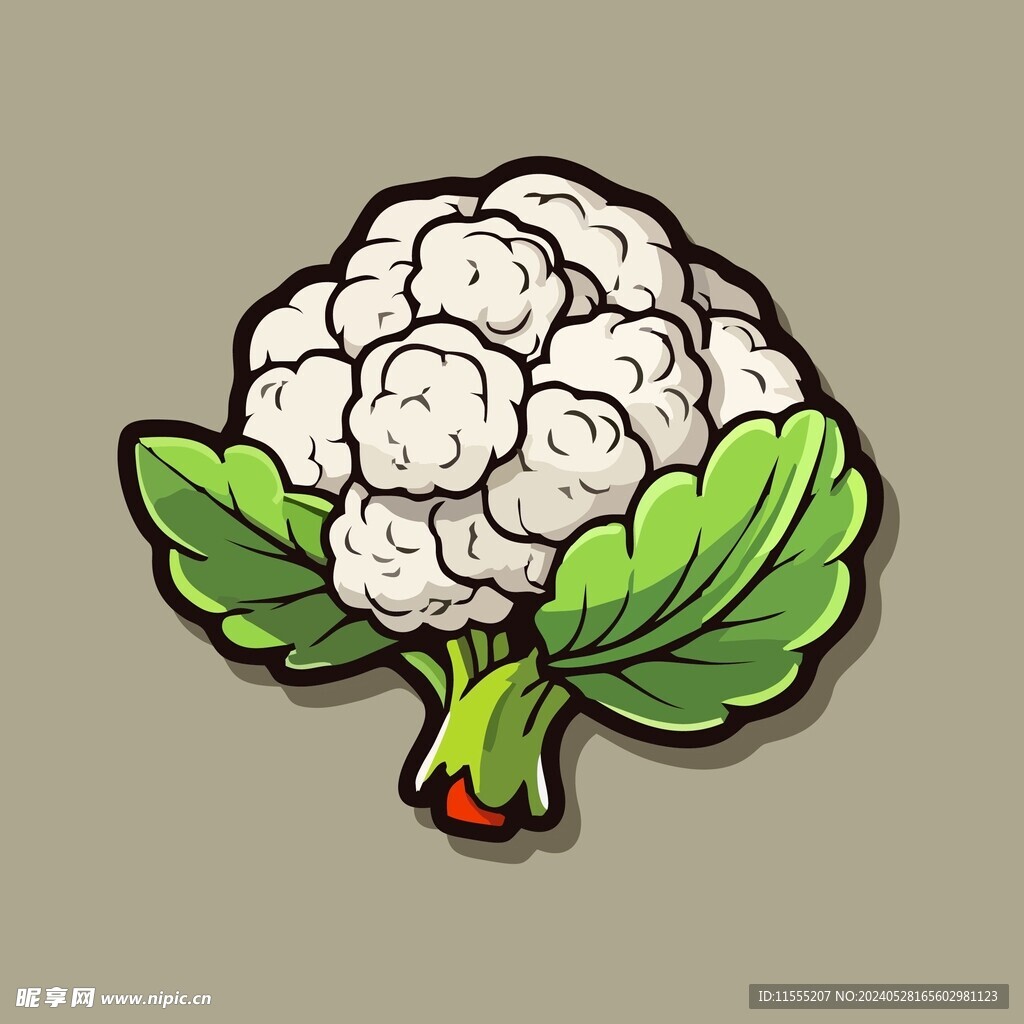 美味菜花蔬菜手绘矢量插画