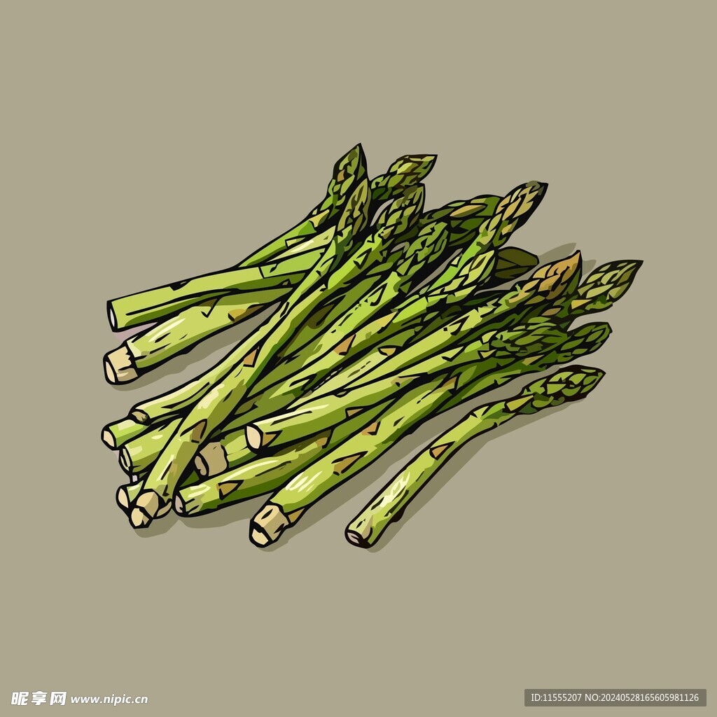 美味芦笋蔬菜手绘矢量插画