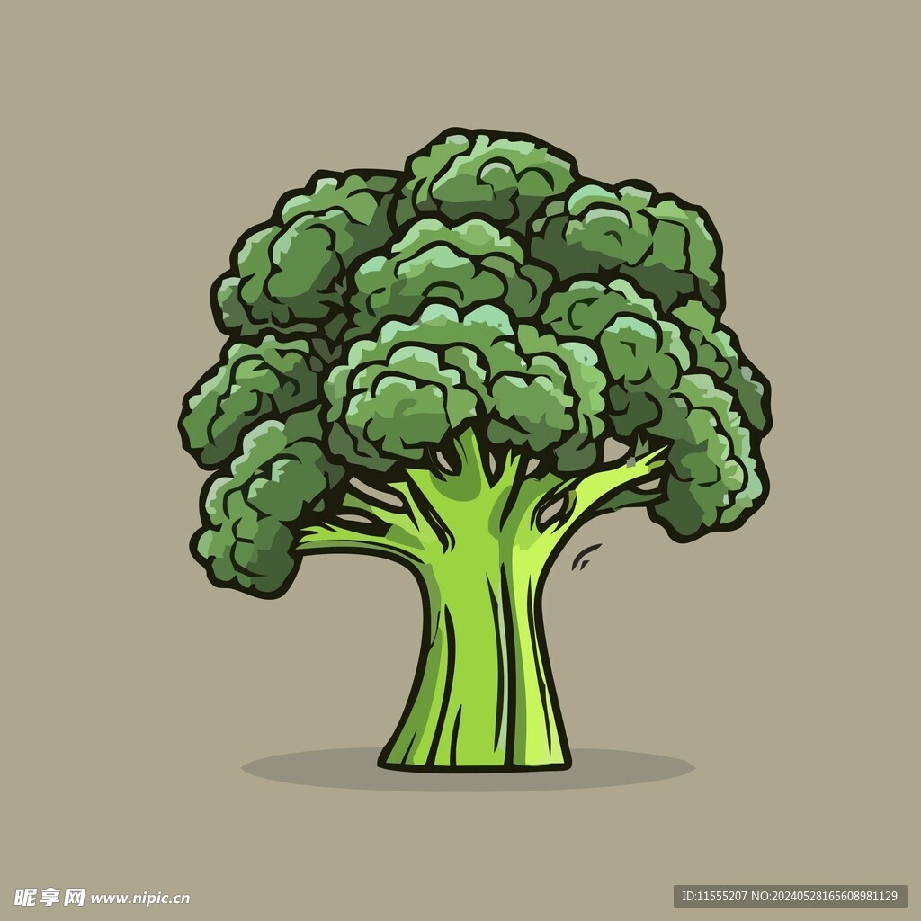 美味西兰花蔬菜手绘矢量插画