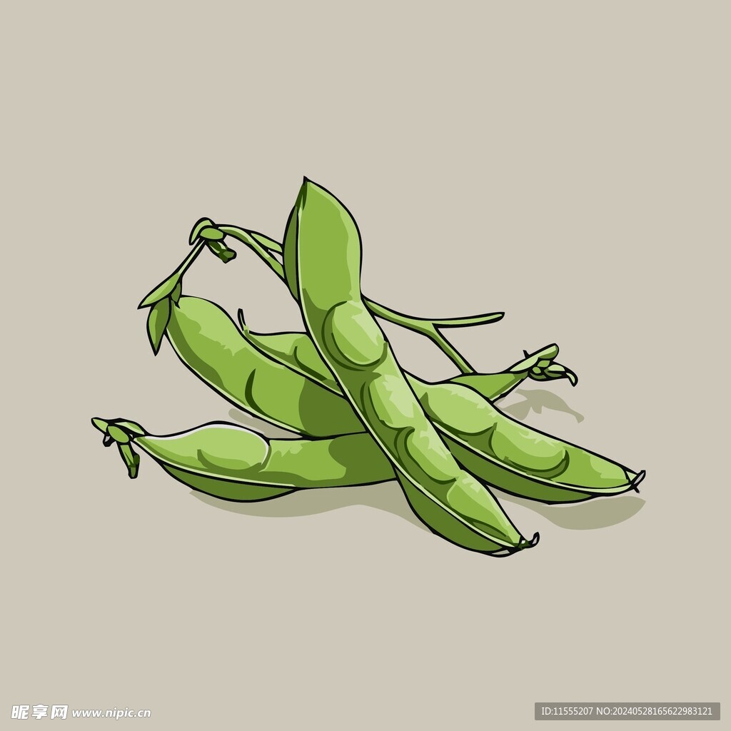 手绘毛豆角卡通蔬菜矢量插画