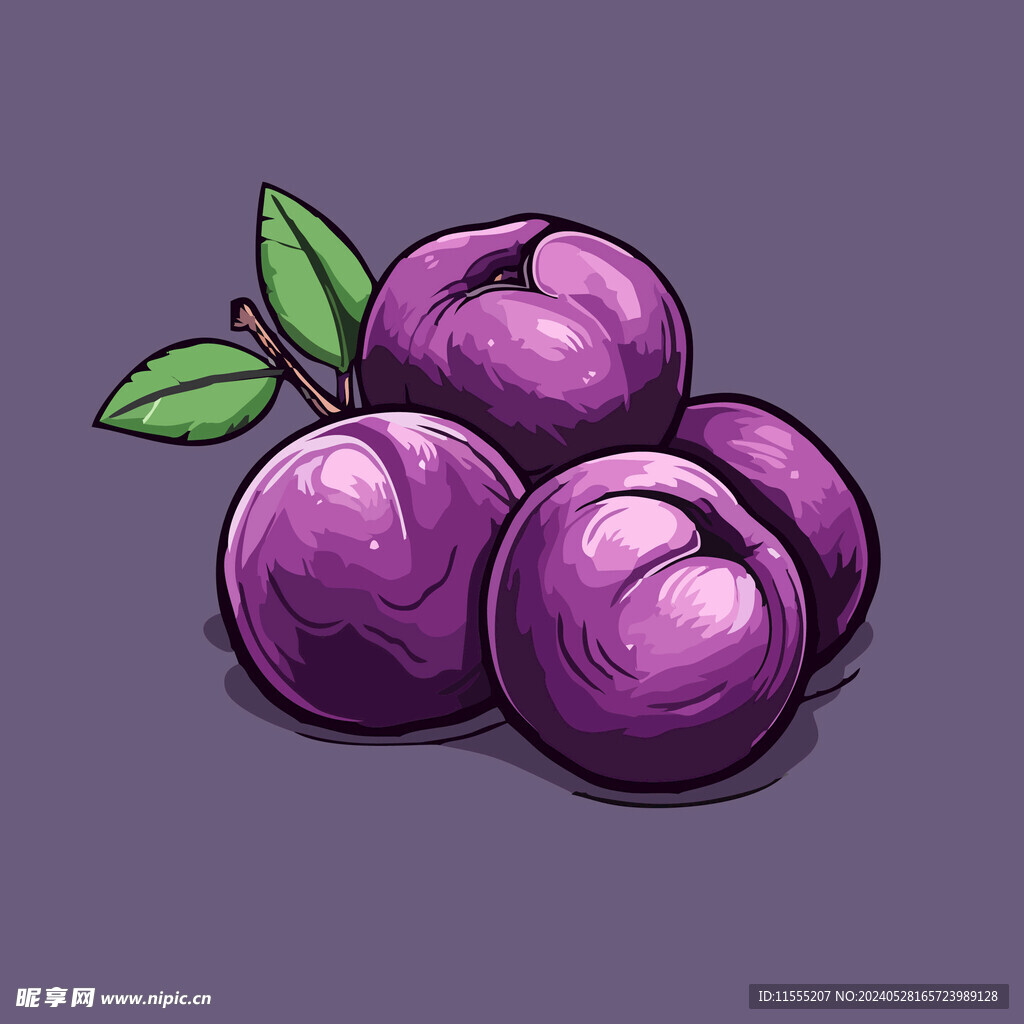 手绘李子水果矢量插图卡通美食