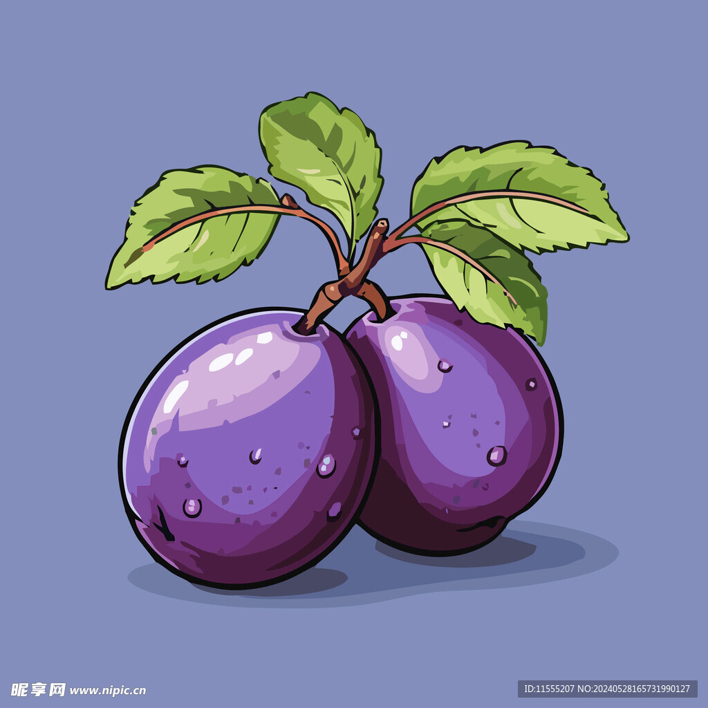 手绘李子水果矢量插图卡通美食