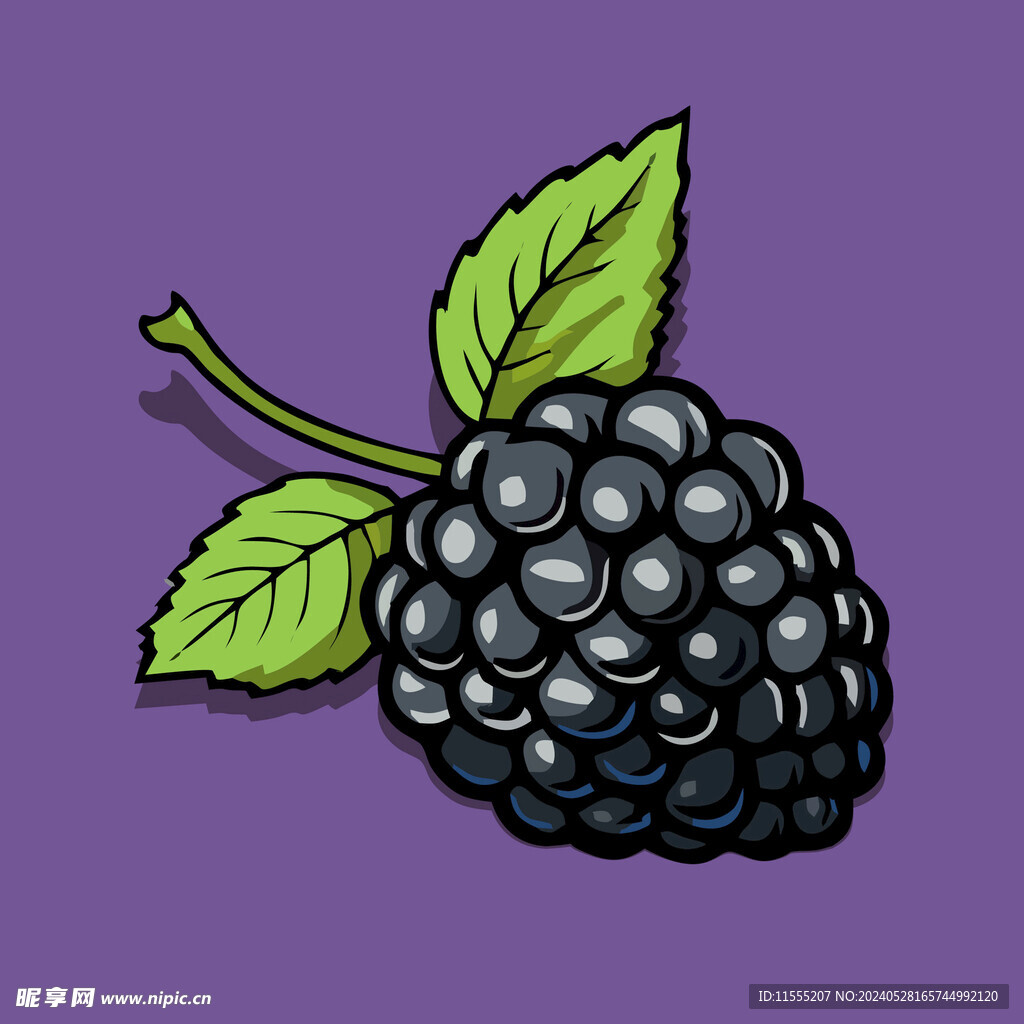 手绘桑椹水果矢量插图卡通美食