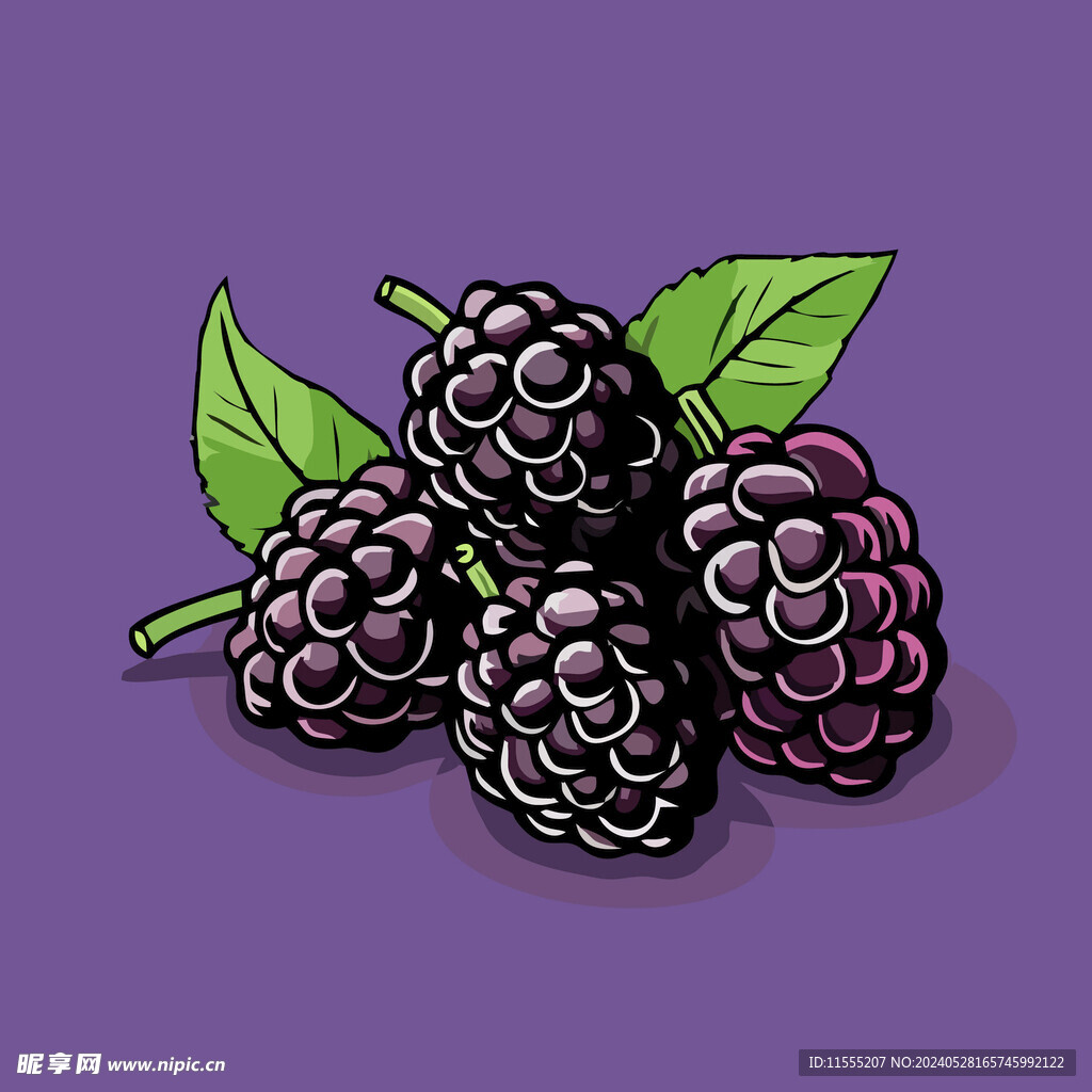 手绘桑椹水果矢量插图卡通美食