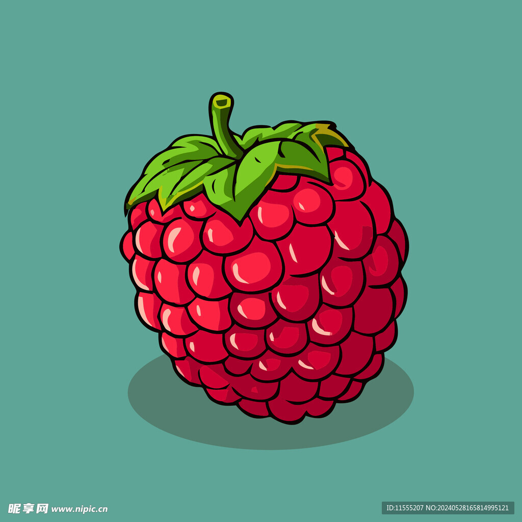 手绘树莓水果矢量插图卡通美食