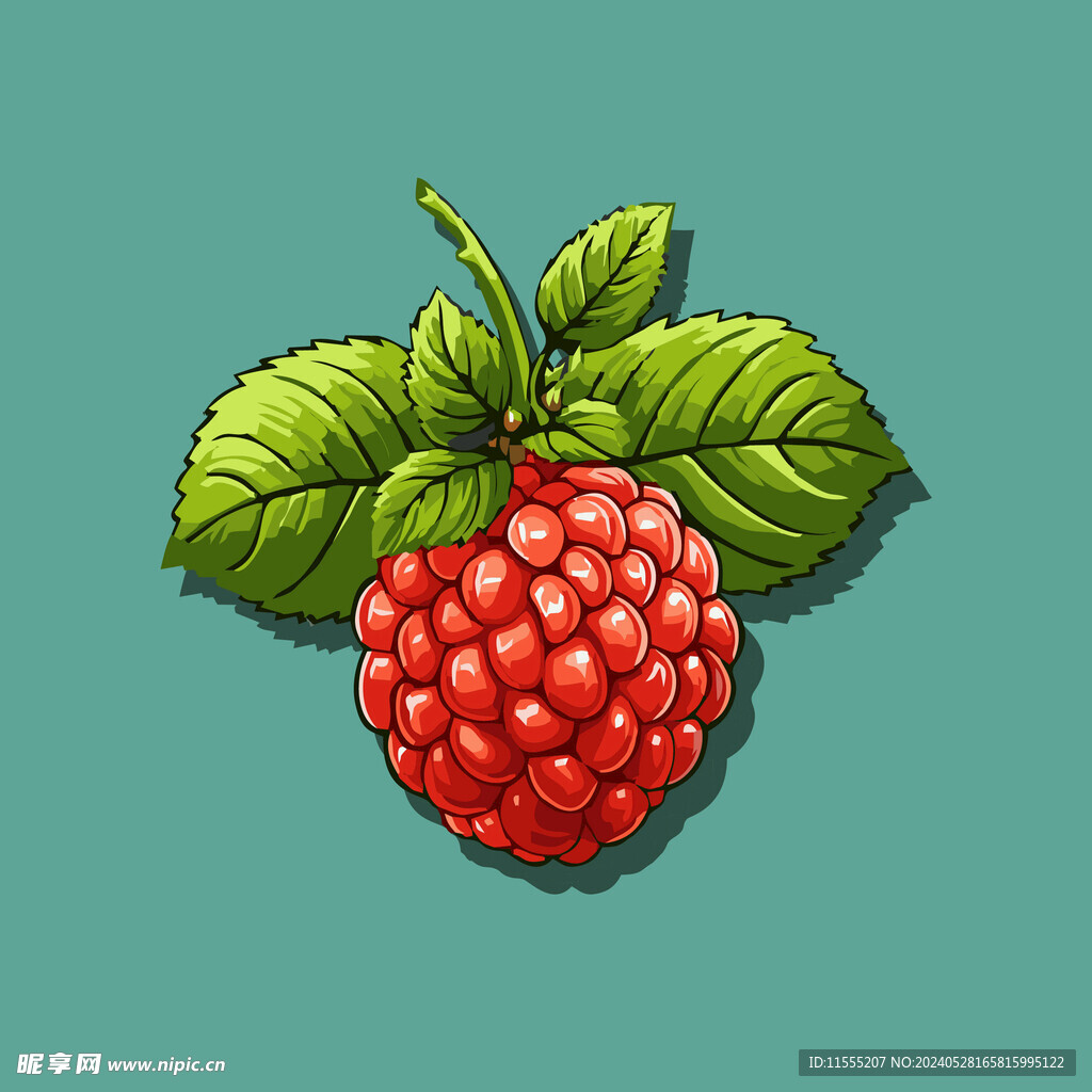 手绘树莓水果矢量插图卡通美食