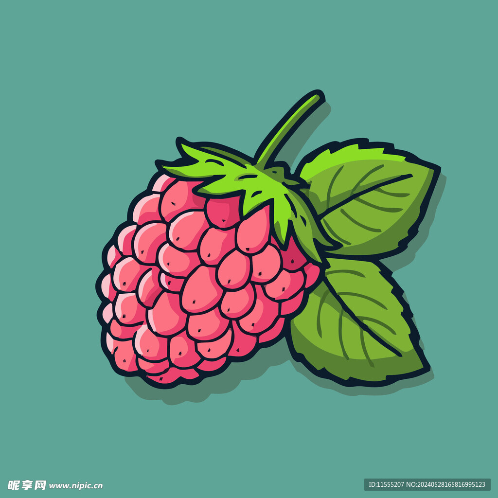 手绘树莓水果矢量插图卡通美食