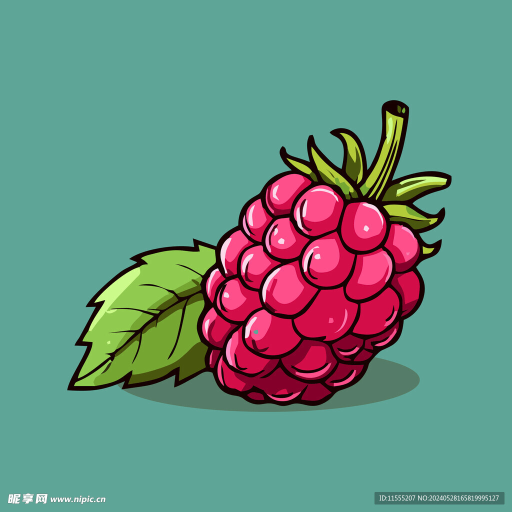 手绘树莓水果矢量插图卡通美食