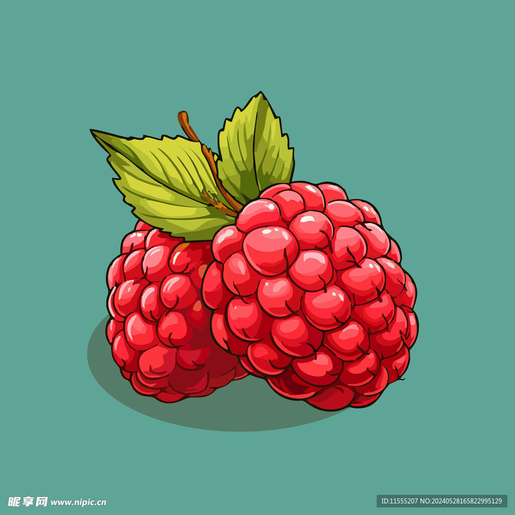 手绘树莓水果矢量插图卡通美食