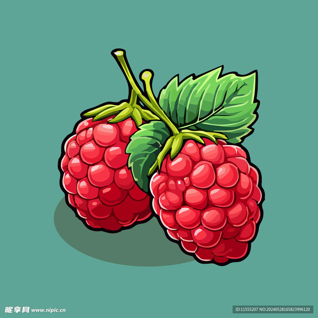 手绘树莓水果矢量插图卡通美食