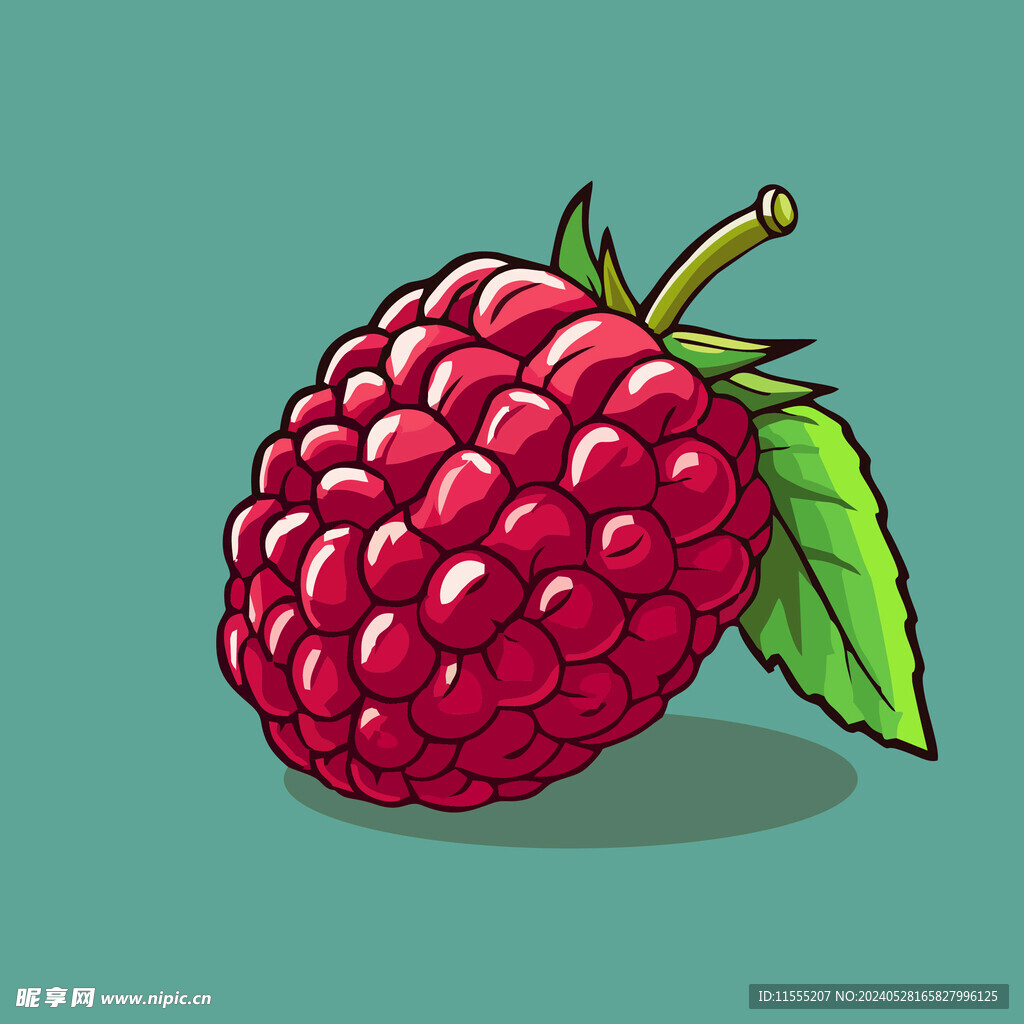 手绘树莓水果矢量插图卡通美食