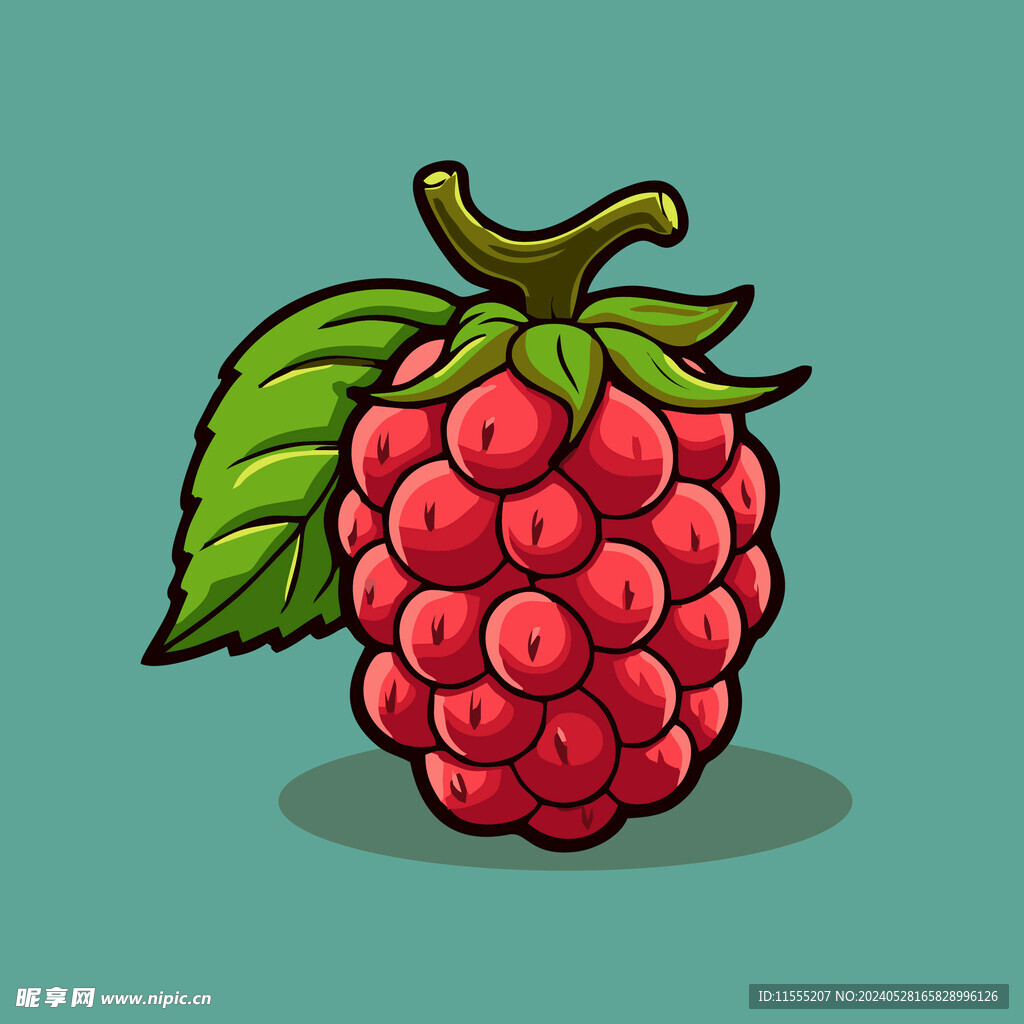 手绘树莓水果矢量插图卡通美食