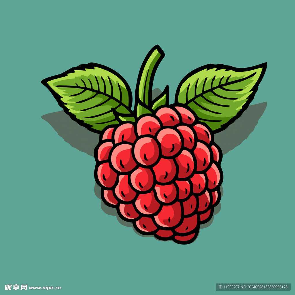 手绘树莓水果矢量插图卡通美食