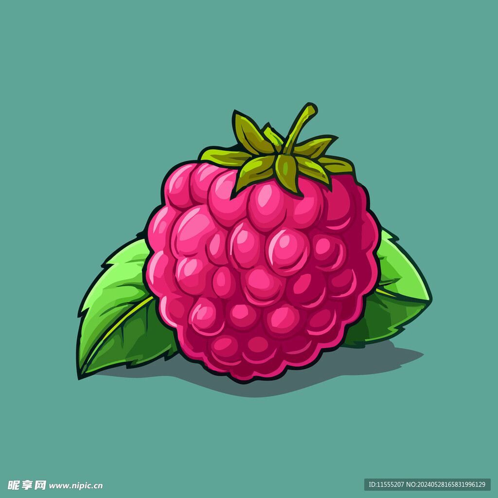 手绘树莓水果矢量插图卡通美食