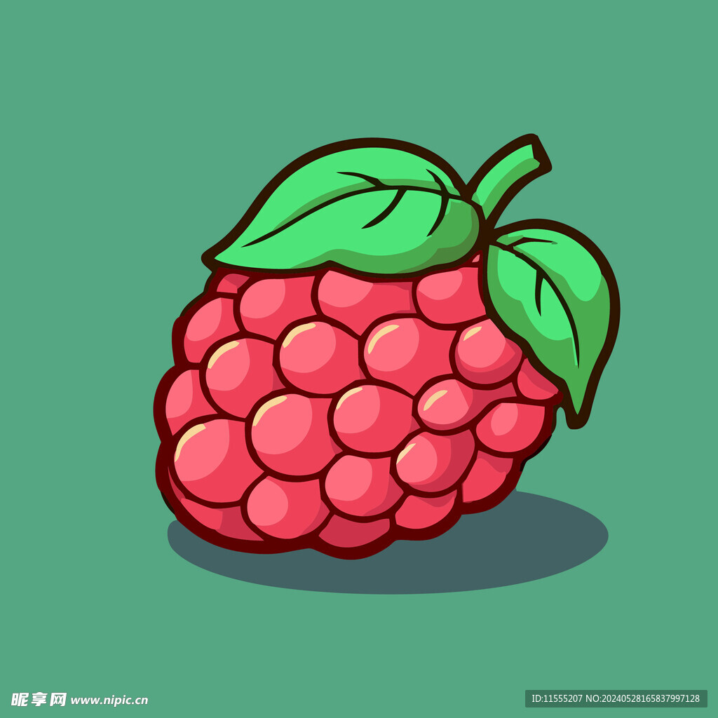 手绘树莓植物水果矢量简笔画