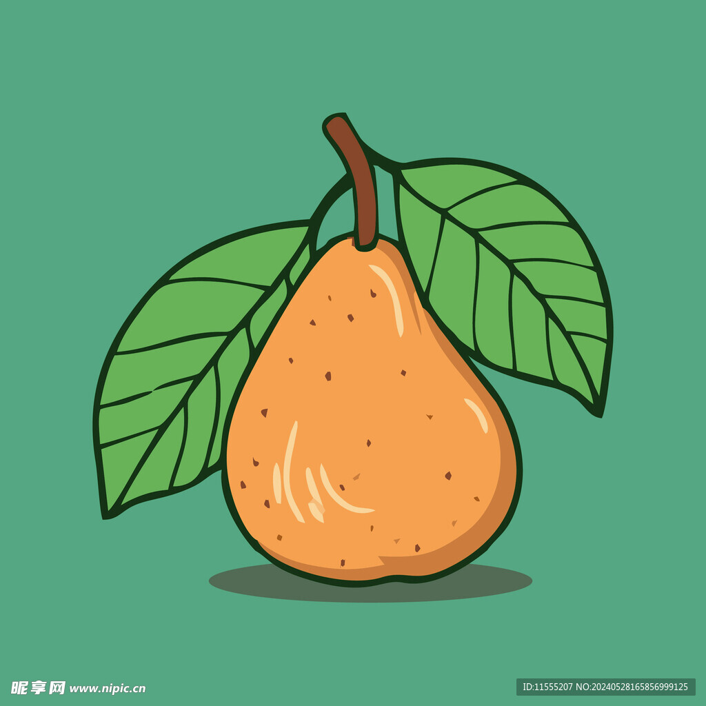 手绘黄梨卡通水果矢量插画