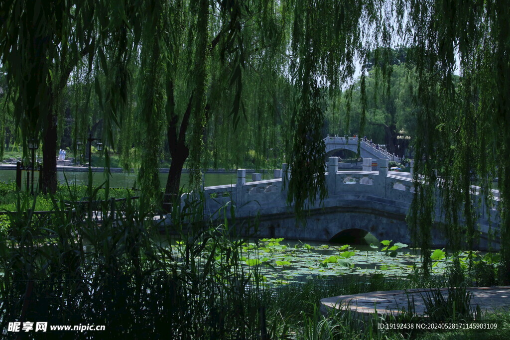 公园风景