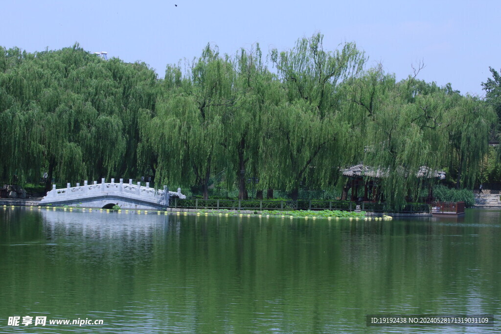 公园风景  