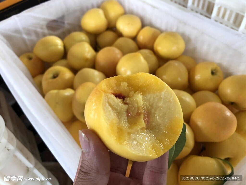 水蜜桃