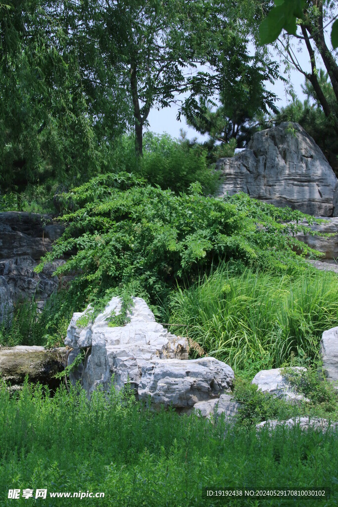 公园风景 