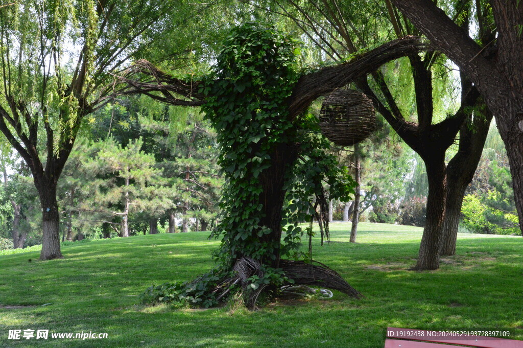 公园风景 