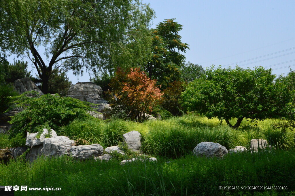 公园风景  
