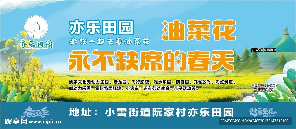 踏青油菜花广告