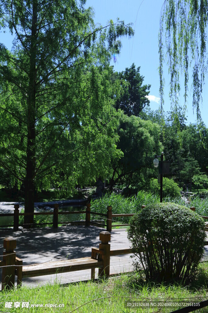 公园风景  